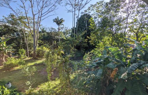 Mansão Colonial com Piscina - Casa Do Conto - Photo 47