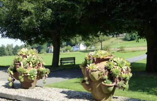 Ferienunterkünfte Zur Mühle - Foto 9