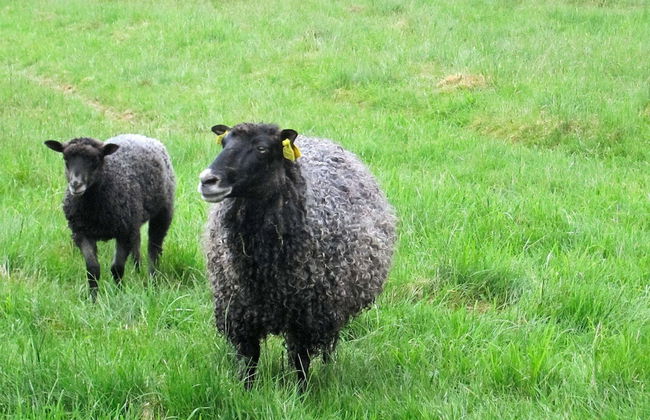 5 Person Holiday Home in Jonkoping-by Traum - Foto 5