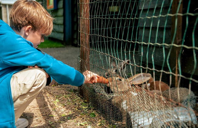 Compact Chalet With Terrace - Photo 39
