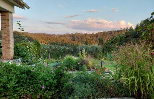 Casa Limonina - Foto 57