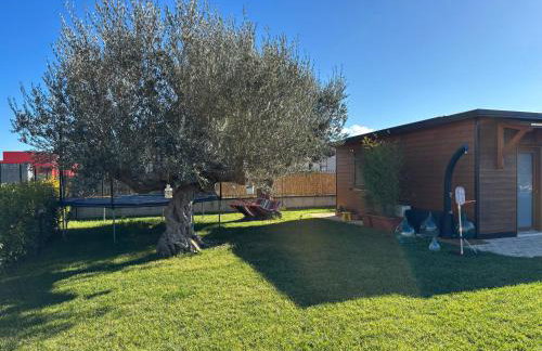 Dependance Con Giardino A Pescara - Foto 19