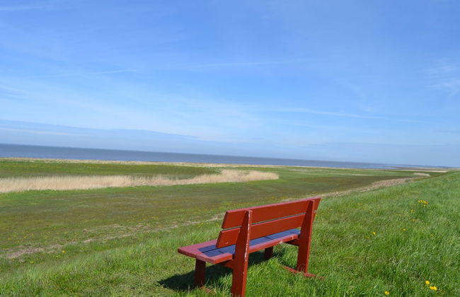 "Adine" - 13km from the sea - Foto 4