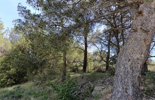 Maison Magnolia - Foto 41