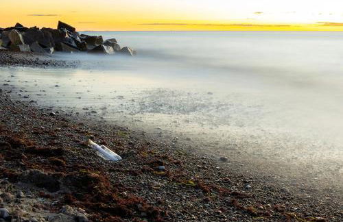 Pilars Fischwerk - Foto 26