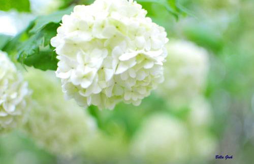 Domek na wsi Mokosz - Photo 35