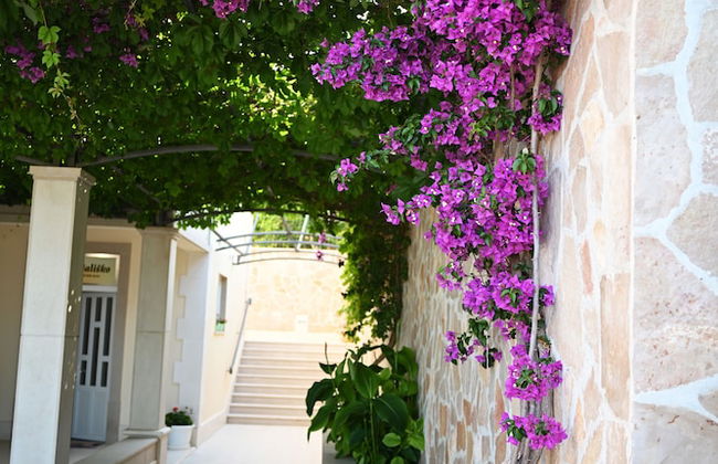 Villa Malisko - Foto 25