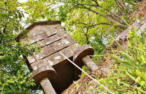 Te Cuento 3 Xesteira - Foto 25