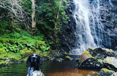 Rest At Last - Highland Apartment with Private hot tub - Photo 49