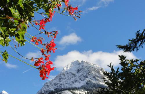 Gastehaus Luise - Photo 14
