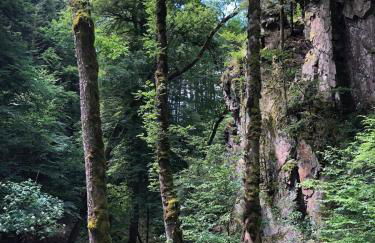 Chez natalli - Foto 24