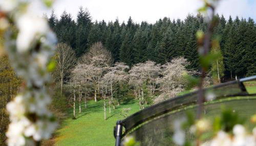 Bühlbauernhof - Foto 3