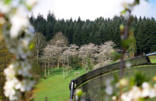 Bühlbauernhof - Foto 3