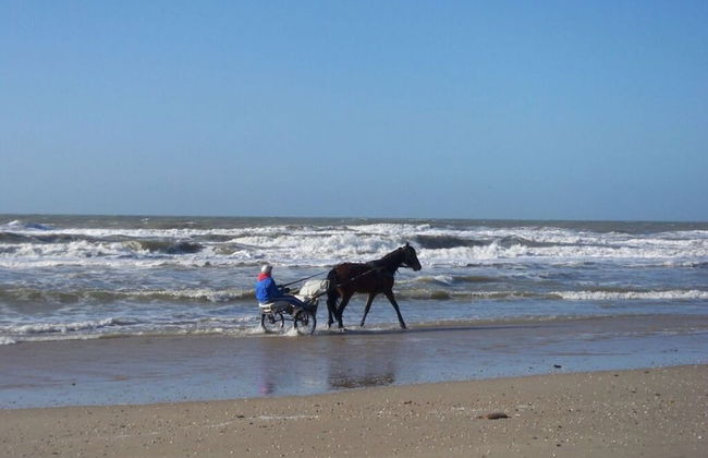 "sina" Comfortable Holiday Residence - Photo 17