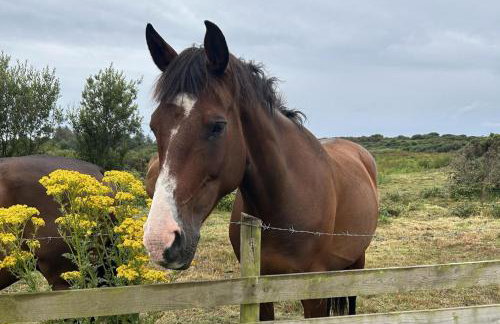 Captivating 2-bed Static Caravan on Private Land - Foto 41