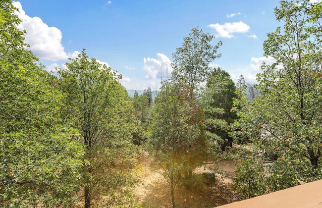 Our Secret Getaway An Adventurer's Oasis - Foto 24