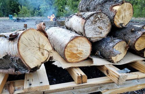 Amazing Glamping Tents Perfect for Outdoor and Nature Lovers in Chugiak, Alaska - Foto 23