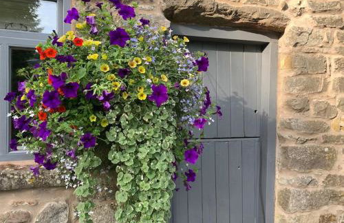 Wren Cottage, Manifold cycle trail,Peak District - Foto 20