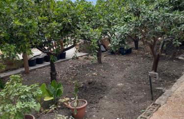 Casetta Mangiapane - Foto 22