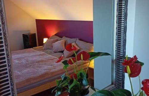 Słowikowy Zakątek - Foto 4