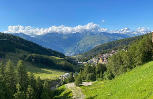 Plagne Centre - Immeuble Le Mustag - Wifi - Foto 18