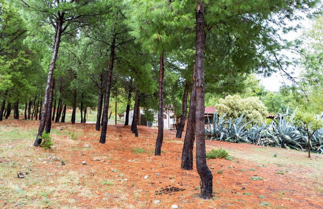 Holiday Home in Cropani Marina With Pool - Foto 27