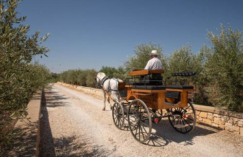 WePuglia - TERRATERRA - Masseria Minunni - Photo 41