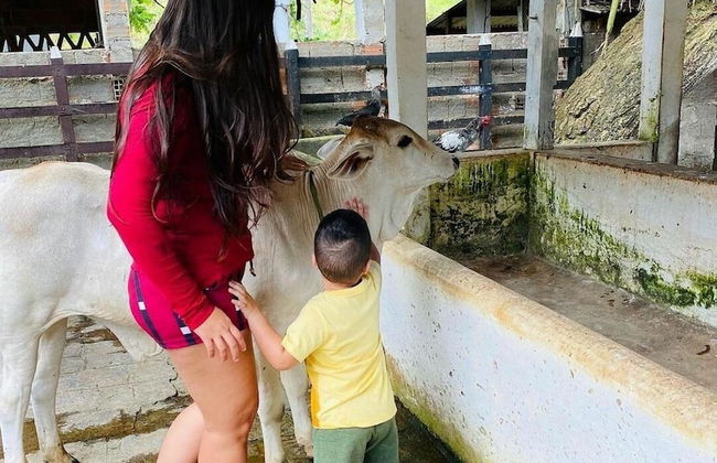 Rangel Village - Hotel Fazenda Pedra Do Rodeadouro - Foto 34