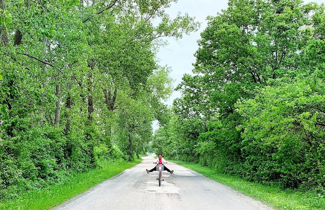 Parkside Flat #5 - Seacliff Beach Suites - Foto 18