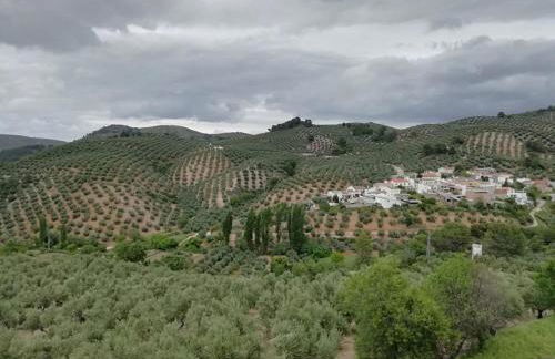 El Almendro De La Tia Teresa - Foto 11