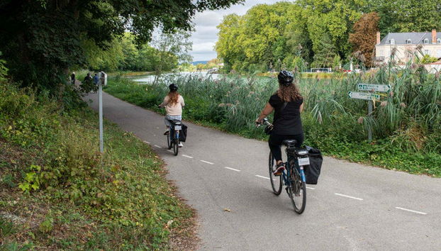 Visite à vélo autour des vignes