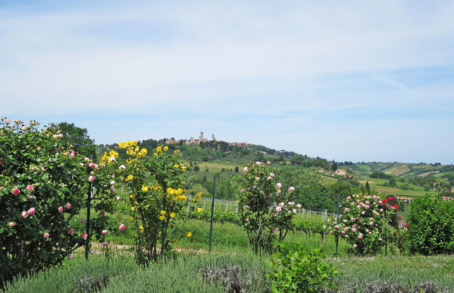 5 bedroom House in San Gimignano with private pool and garden - Photo 6