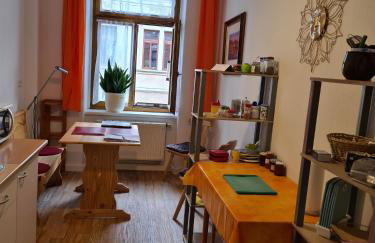 FeWo-Regenbogen-Dresden - Foto 12