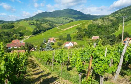 Appartement charmant à Epfig avec vue sur jardin - Foto 14