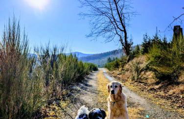 Ferienwohnung Jansen - Foto 42