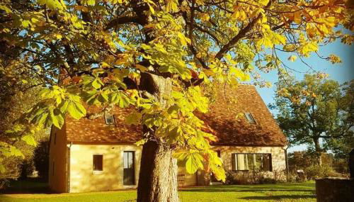 Stone House With Pool And Views In The Perche - Foto 4