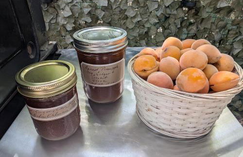 AG House, Recreaters,Work Remote, Surgery, Healing ADA, Pets, Parking - Foto 34