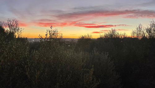 CA'N MARC (CHARMING HOUSE CENTER ISLAND) - Foto 3, Garden view