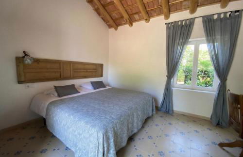 La Escribana - Photo 38