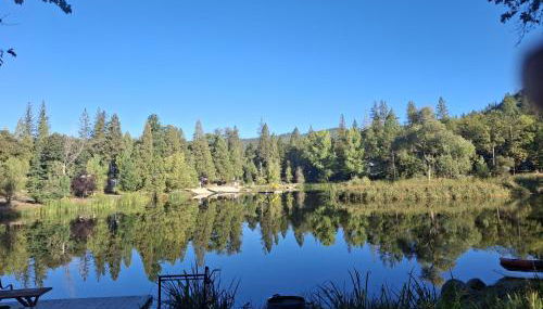 1BR Dog-Friendly Lakefront Cabin with Canoes - Foto 1