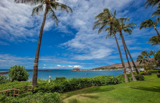 Maalaea Kai 215 1 Bedroom Condo - Foto 39