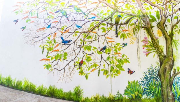 Orchids Half Day Tour - Foto 4