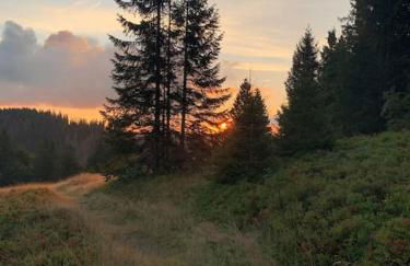 Stube9 am Feldberg, direkt an der Skipiste, Ski in-Ski out - Photo 52