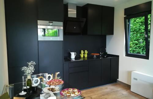 Norte de Santillana Villas - Apartamentos - Foto 53