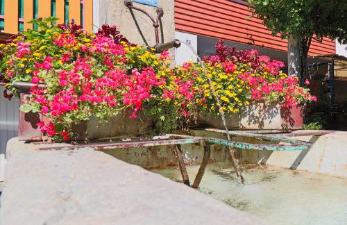 Löwe Apartment Gelb Tiengen Altstadt - Foto 11