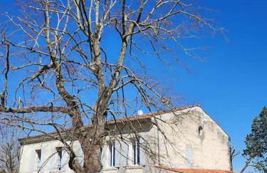 La Villa Ausone - Foto 9