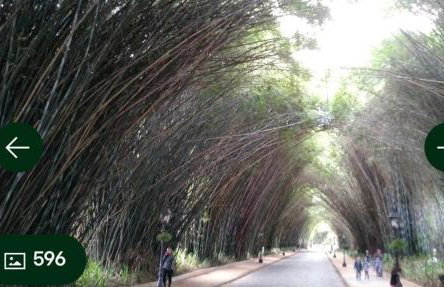 Ao lado da Superpao com vaga de garagem, Nova Friburgo RJ - Foto 34