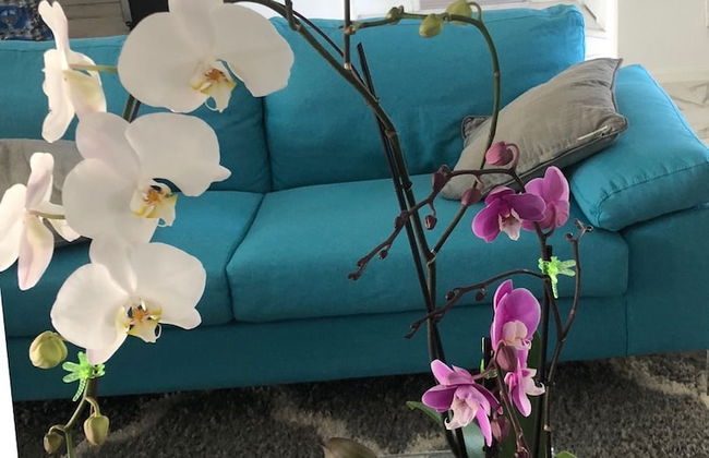 The Colony House Palm Springs - Foto 10