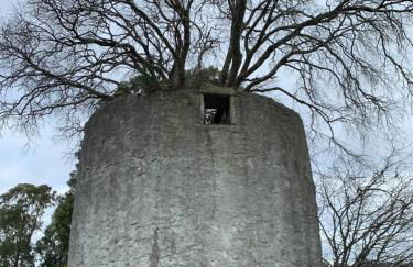 Santuário SOS Animal - Foto 25