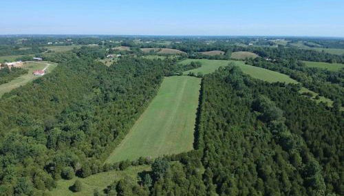 100 Acre Relaxing Retreat Near ARK - The Cottage - Foto 4